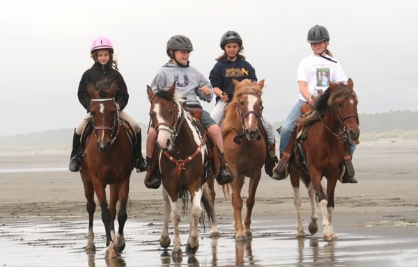 Horseback Riding Tour - Todos Santos