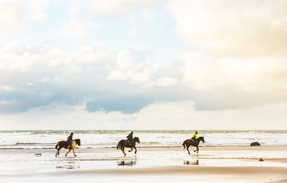 Horseback Riding Tour - Todos Santos