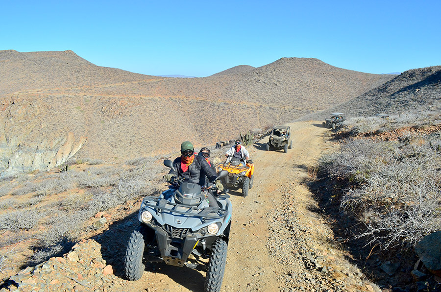 Omega Tours Todos Santos - Guided, Self guided and Rentals