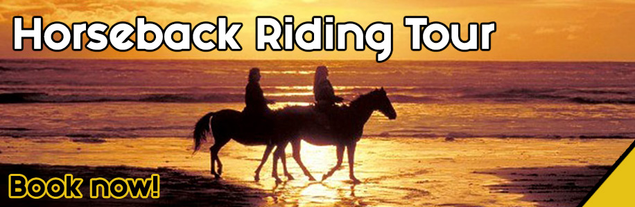 Horseback Riding Tour - Todos Santos