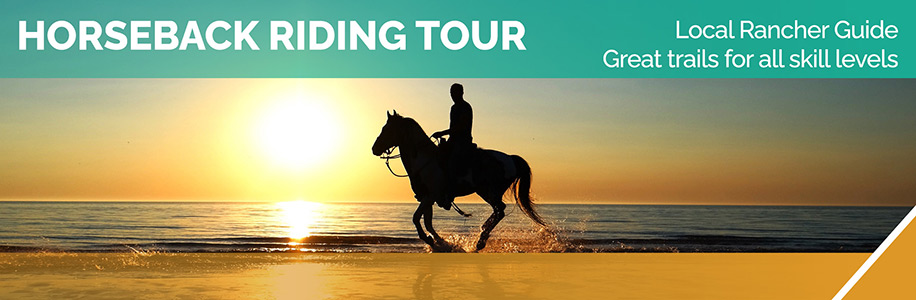 Horseback Riding Tour - Todos Santos