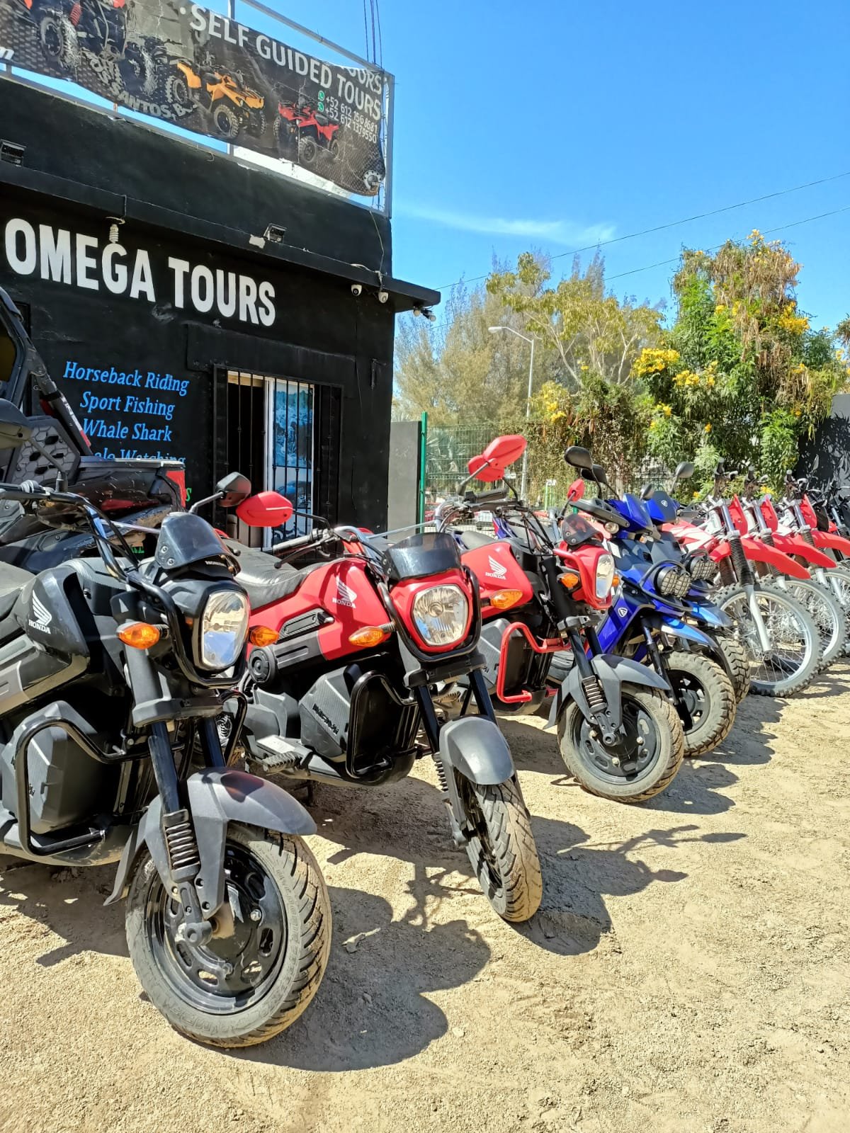 RENTALS