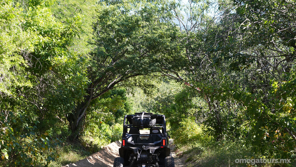 Sierra Waterfalls Tour / Omega Tours Todos Santos