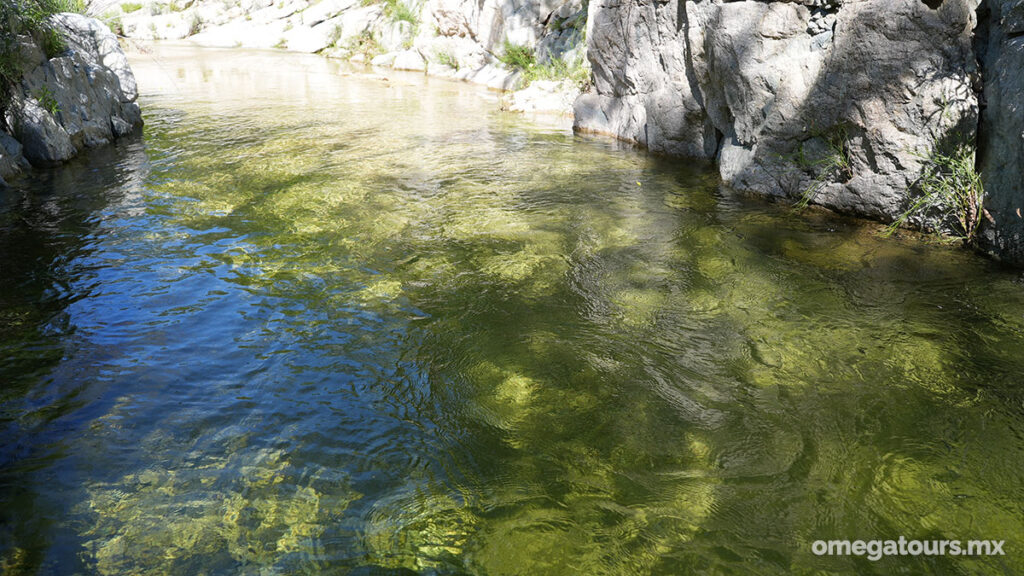 Sierra Waterfalls Tour / Omega Tours Todos Santos