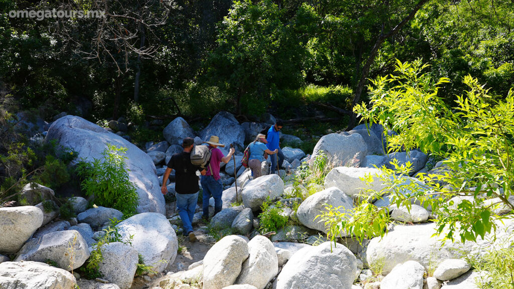 Sierra Waterfalls Tour / Omega Tours Todos Santos