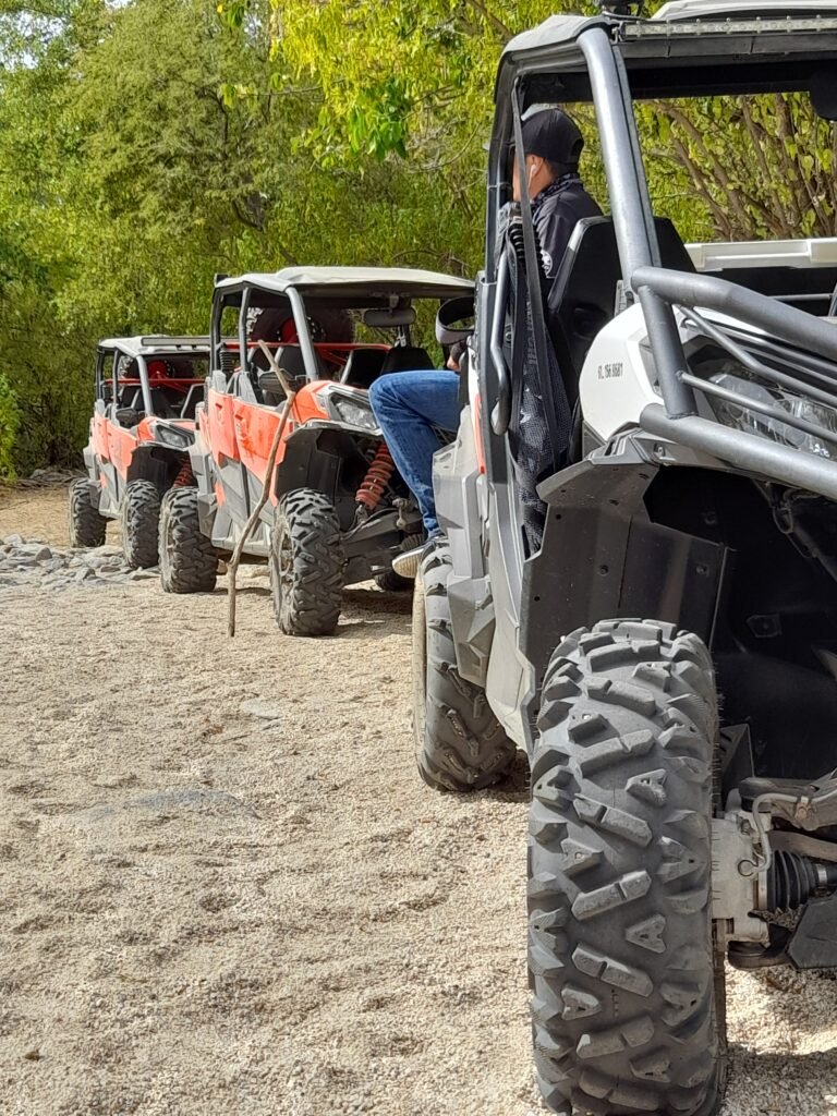UTV tours in Todos Santos with Omega Tours