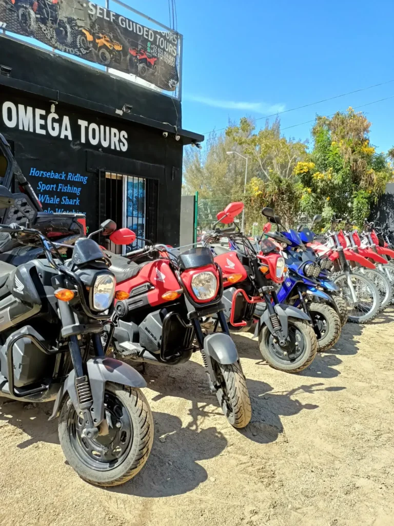 RENTALS