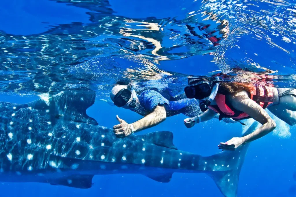 Baja activities in Todos Santos with Omega Tours