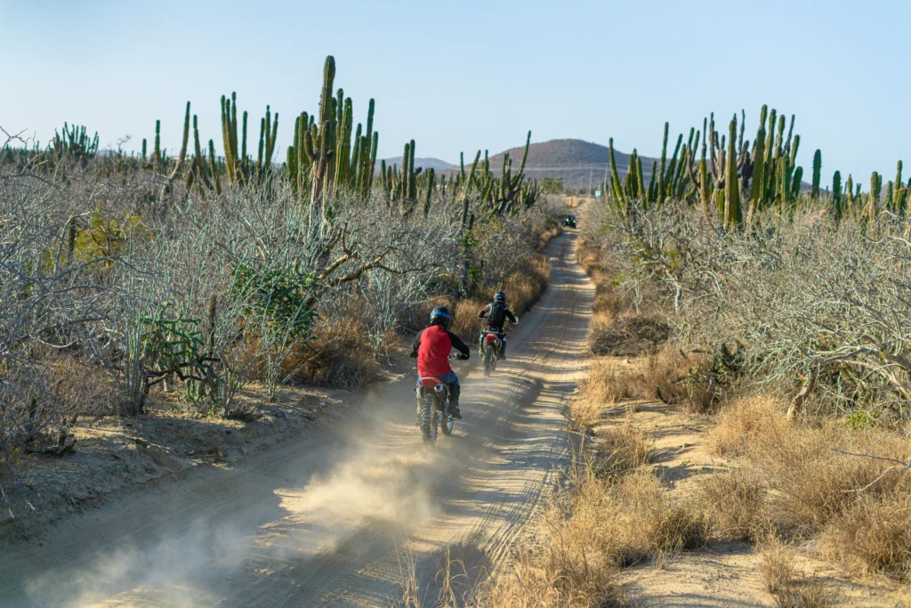 Dirt Bike Tours in Todos Santos 11