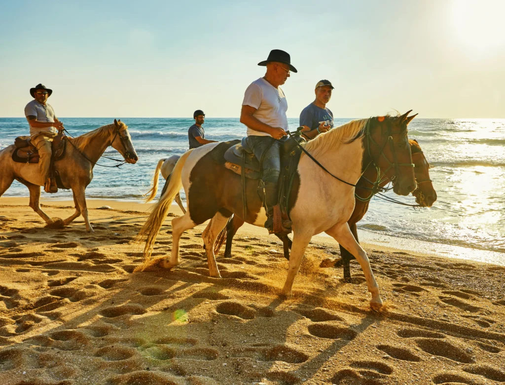 Horseback Riding in Todos Santos 10