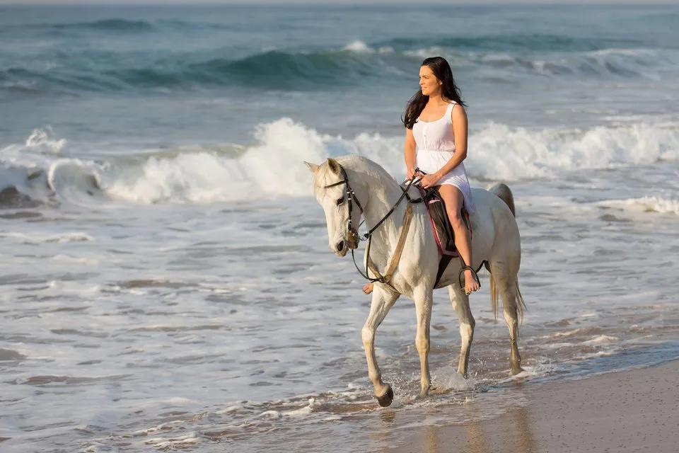 Horseback riding in Todos Santos with Omega Tours