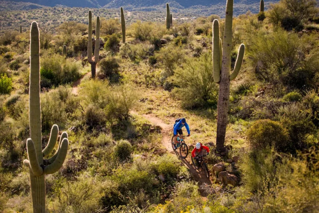 Mountain Bike Tours in Todos Santos 5 1