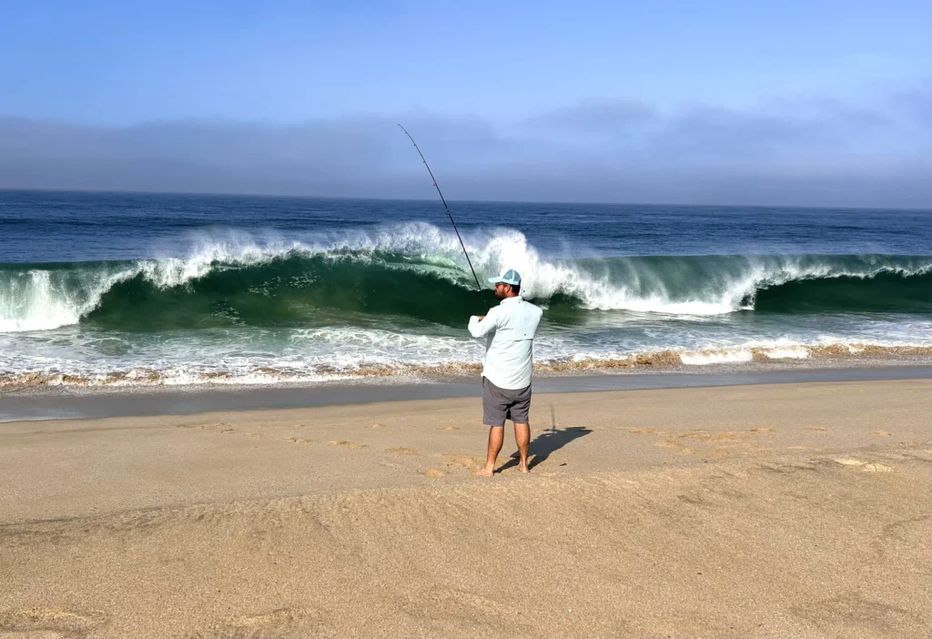 Shore Fishing 1