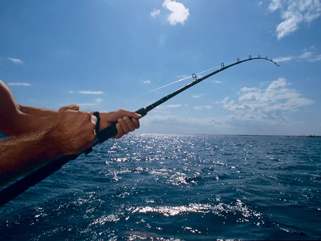 Shore fishing tour in Todos Santos with Omega Tours
