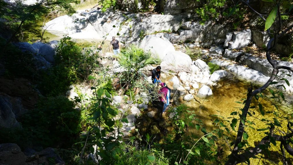 Sierra Waterfalls Hike with Omega Tours