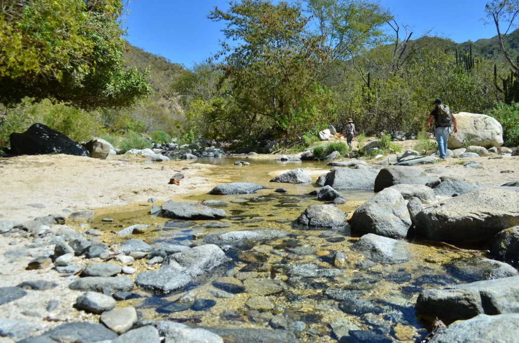 Sierra Waterfalls Hike 9 1
