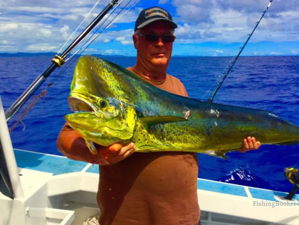 Sport Fishing in Todos Santos 8