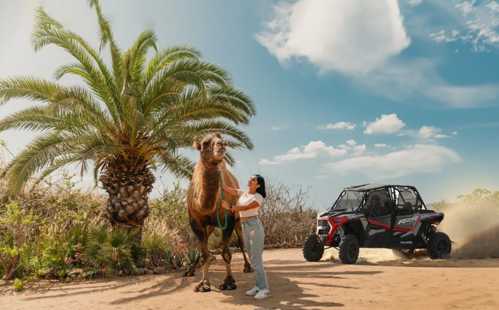 COMBO OFF ROAD CAMELS6