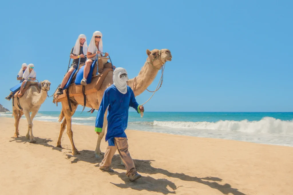 CAMEL RIDE11