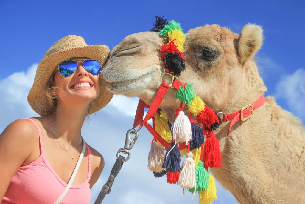 CAMELKISS3