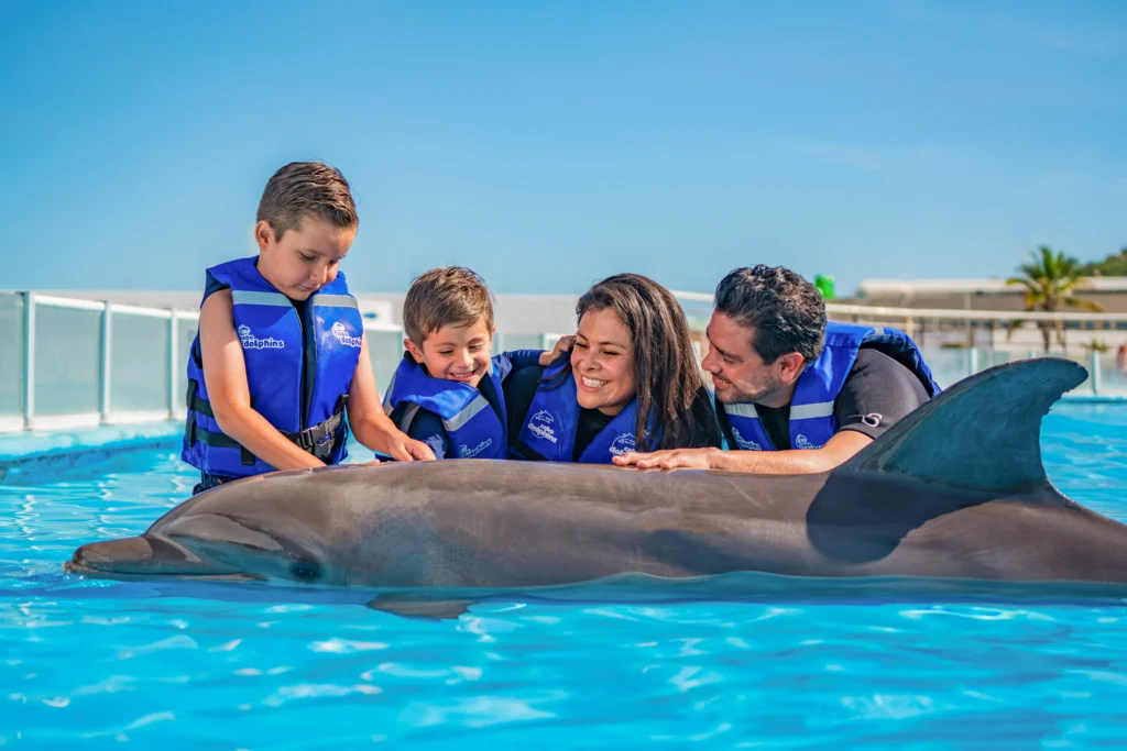 DOLPHIN ENCOUNTER10