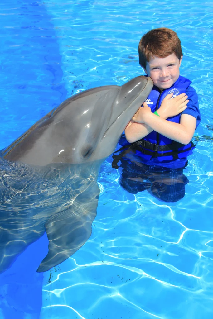 DOLPHIN ENCOUNTER2