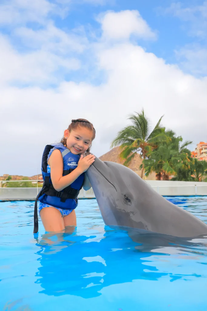 DOLPHIN ENCOUNTER6