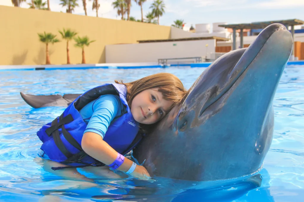 DOLPHIN ENCOUNTER8