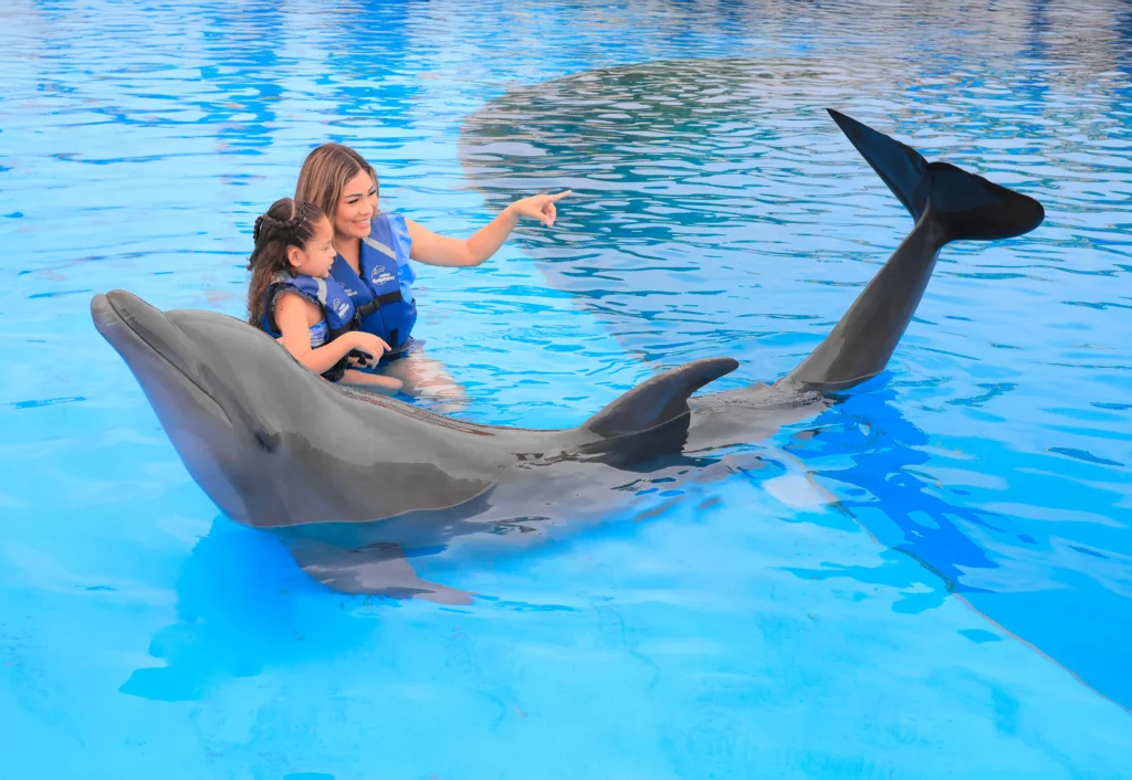 DOLPHIN EXPERIENCE 10