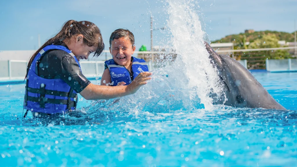 DOLPHIN EXPERIENCE 13