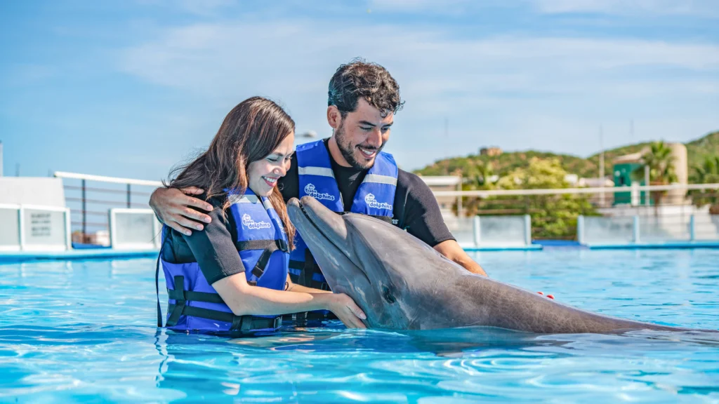 DOLPHIN EXPERIENCE 2