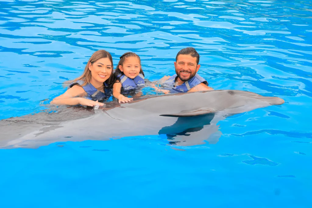 DOLPHIN EXPERIENCE 3