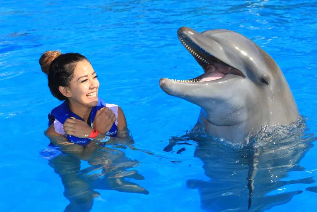 DOLPHIN EXPERIENCE 4