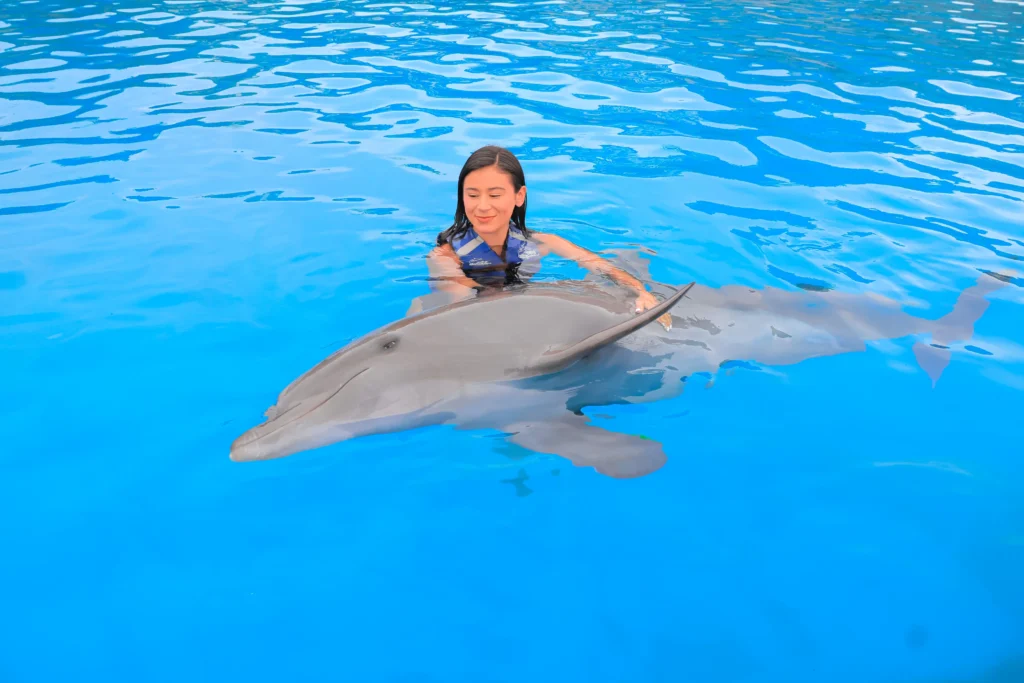 DOLPHIN EXPERIENCE 6