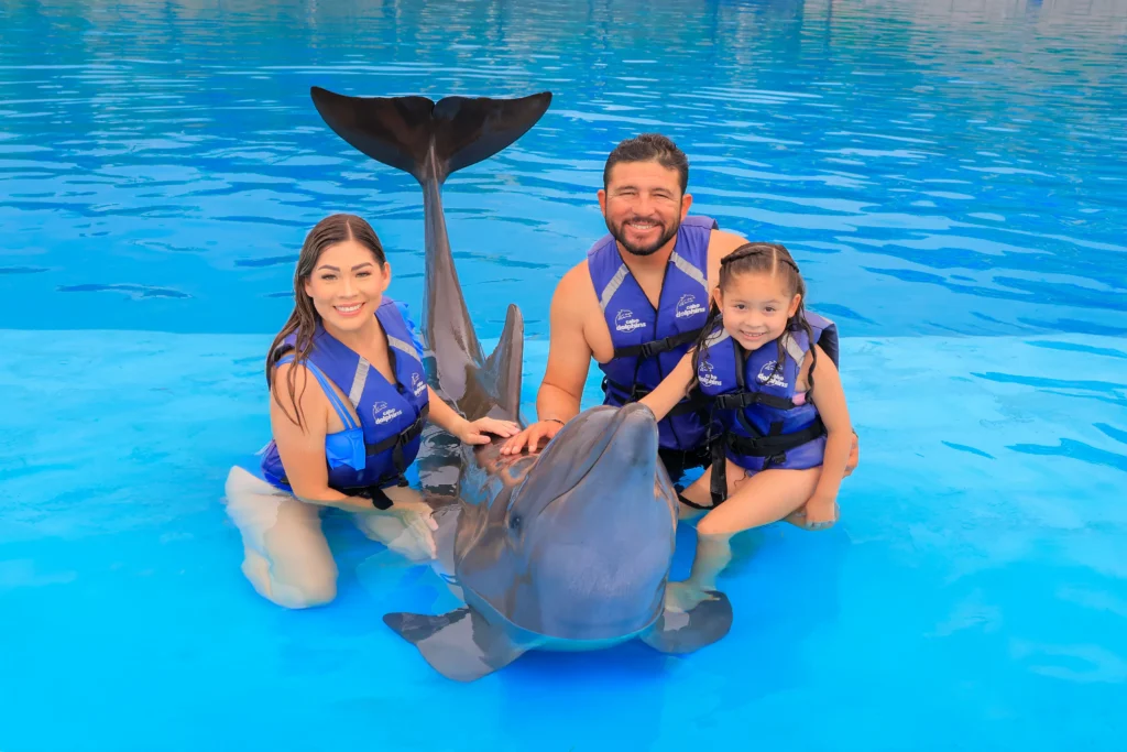 DOLPHIN EXPERIENCE 7