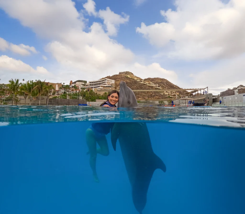 DOLPHIN SIGNATURE SWIM15