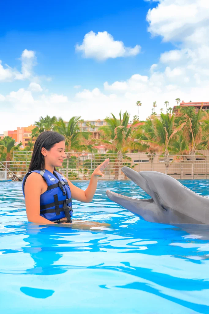 DOLPHIN SIGNATURE SWIM3
