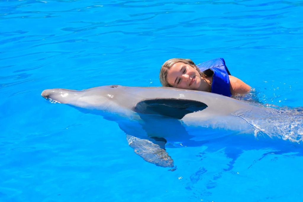 DOLPHIN SIGNATURE SWIM7