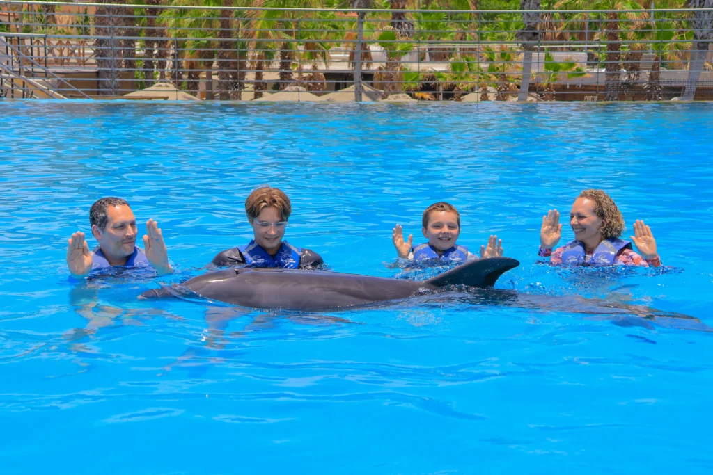 DOLPHIN SIGNATURE SWIM8