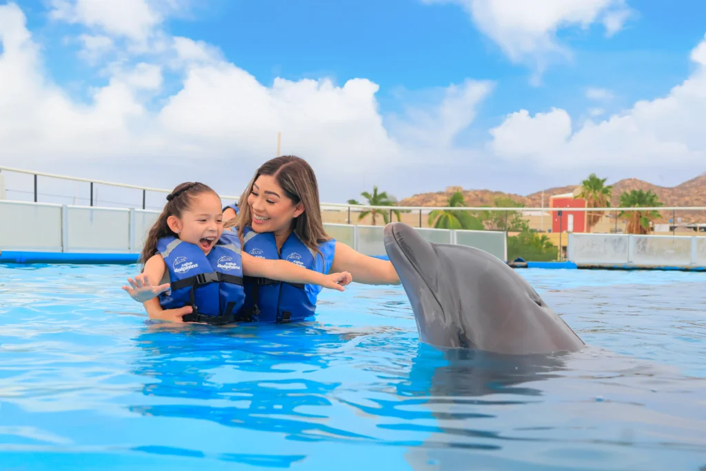 DOLPHIN SIGNATURE SWIM9