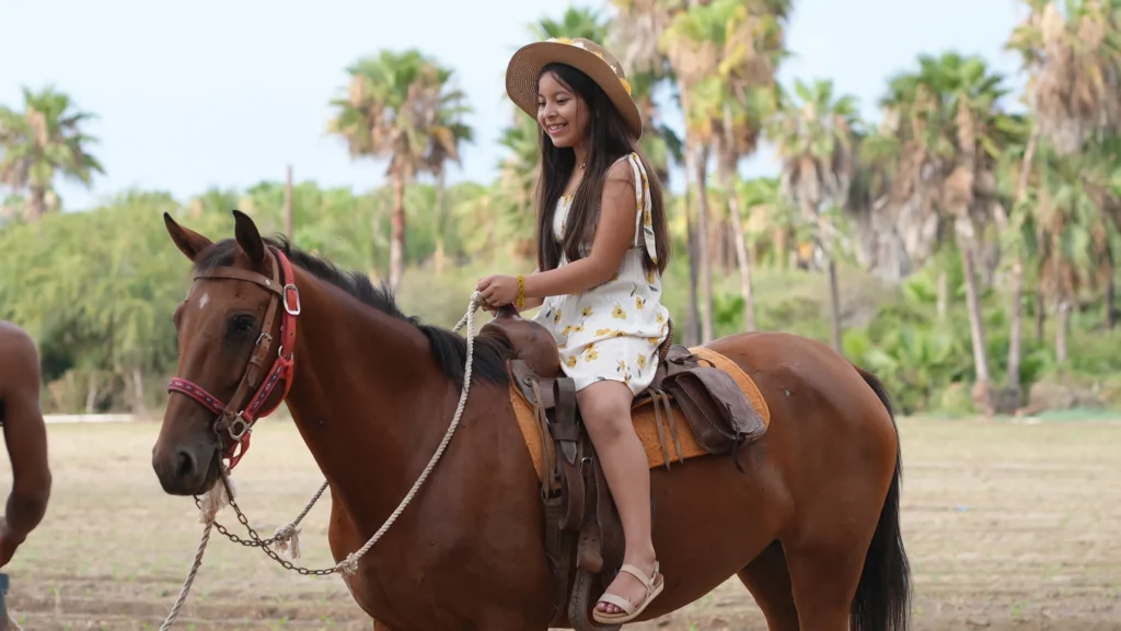 HORSEBACK 2
