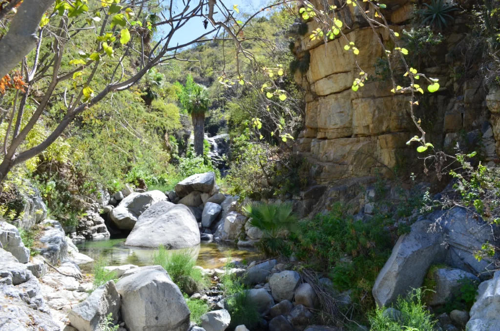 SIERRA DE LA LAGUNA 1