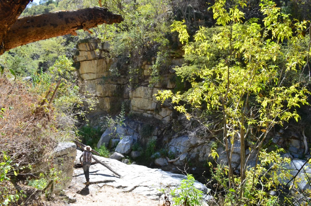 SIERRA DE LA LAGUNA 12