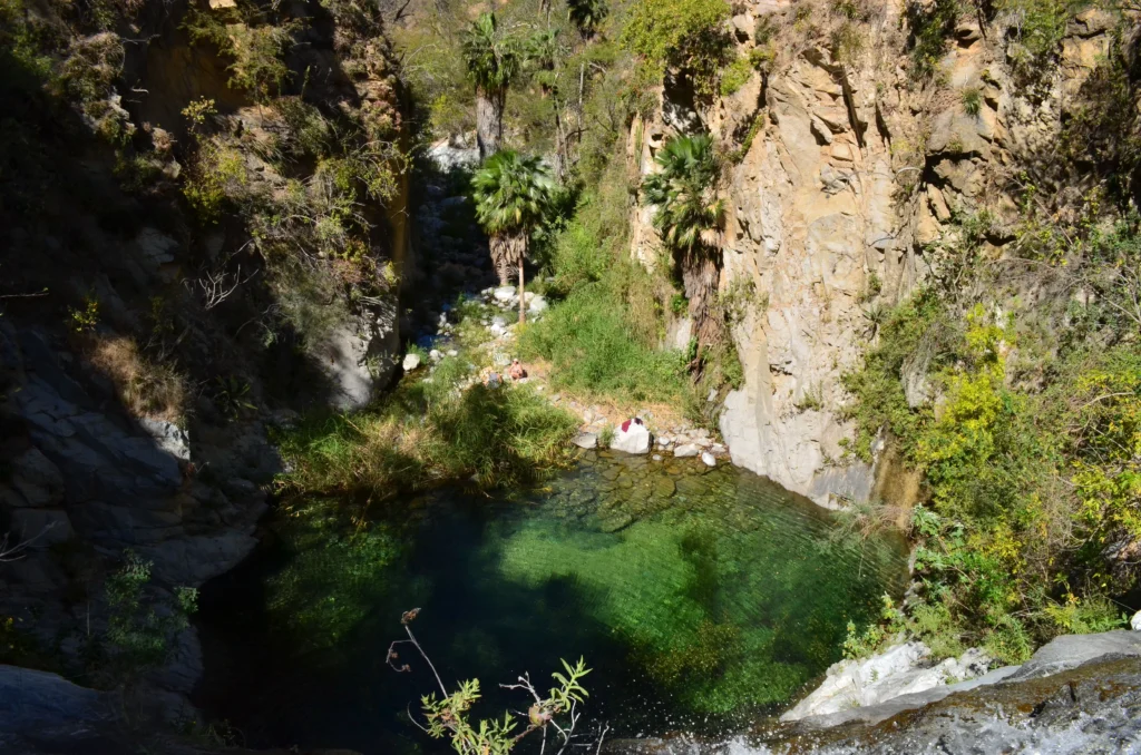 SIERRA DE LA LAGUNA 14