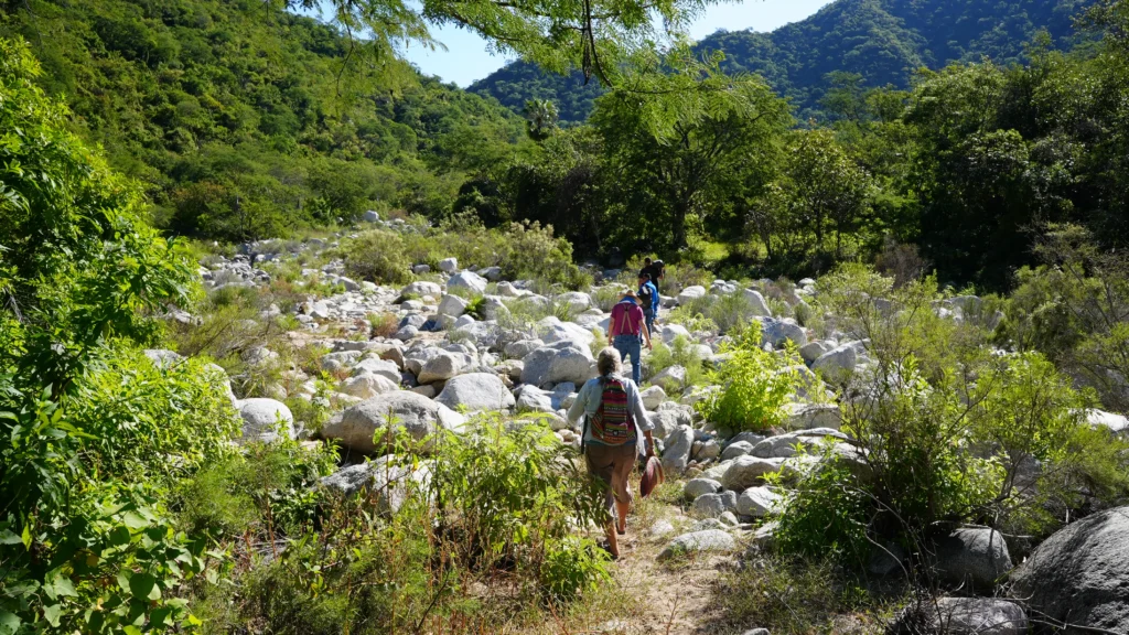 SIERRA DE LA LAGUNA 4