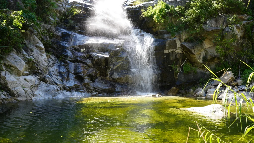 SIERRA DE LA LAGUNA 7