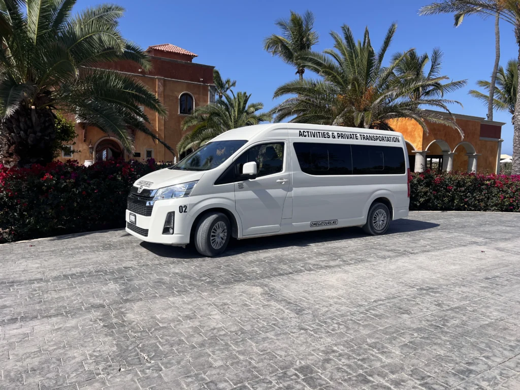 local transportation 11