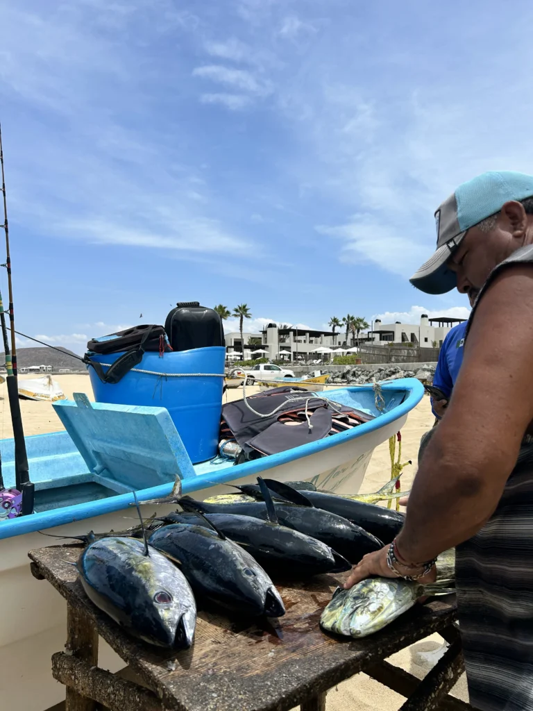 sport fishing 2